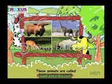 Animales por comer Educación para hábitos Niños tipos vídeos Www.makemegenius.com