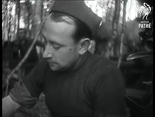 French Troops In Action - Tanks And Outposts In Woods (1940)