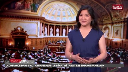 Confiance dans l'action publique : les temps forts - Les matins du Sénat (12/07/2017)