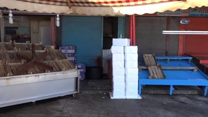 Karadeniz'de Son 80 Yılın En Kısır Kıyı Balıkçılığı Dönemi Yaşanıyor