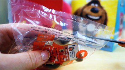 La vida secreta de las mascotas