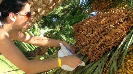 Až se ti jednou bude zdát