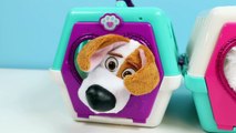 Porteur docteur amis vie mouvement de de animal de compagnie animaux domestiques faire semblant arrêter vétérinaire avec Doc mcstuffins secret