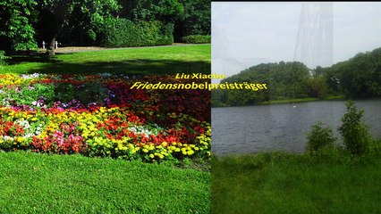 Heidelberger Arzt besucht den schwer krebskranken Chinesische Friedensnobelpreisträgers Liu Xiaobo!