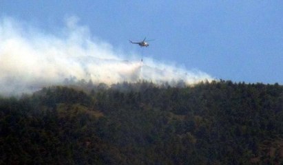 Hatay'da orman yangını