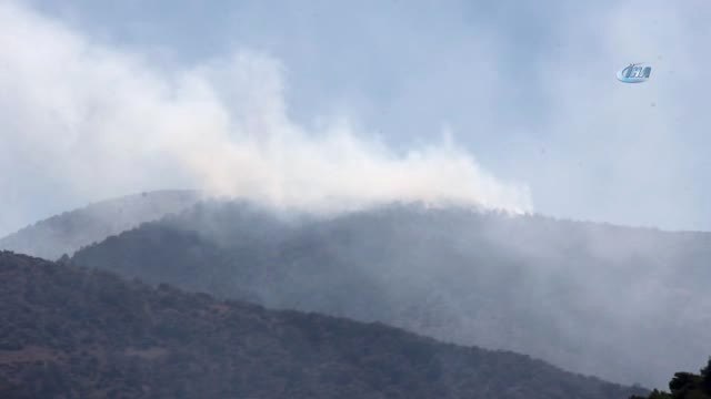 Hatay'daki Orman Yangını Kontrol Altına Alındı, 25 Hektarlık Alan Zarar Gördü