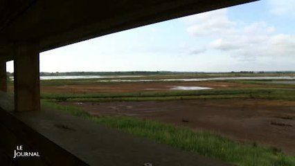 Deux observatoires d’oiseaux au Conservatoire du littoral