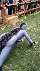 this is us when all the animals gonna die and then we take their role to play as animals