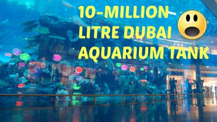 SHARKS DUBAI AQUARIUM | UNDERWATER ZOO| THE DUBAI MALL