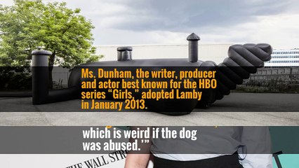 Lena Dunham Says Her Dog Was Abused. The Shelter He Came From Disagrees.