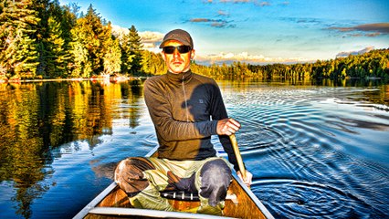 Go Camping Online This Summer!