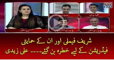 #SharifFamily Aur Un Key Himaiti Federation Key Liye Khatrah Ban Gaey... #AliZaidi