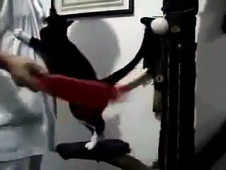 Probably The Entire Plot Of 50 Shades Of Grey