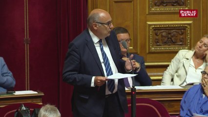 Jean-Léonce Dupont chiffre les conséquences de la suppression de l'IRFM