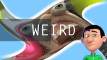 Weird Stuff 3D - Coisas Estranhas Acontecem