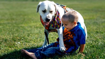 Dog Helps Boy With Autism Stop Having Nightmares