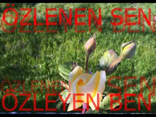 Zeki Müren-Neden Kaçtın Uzaklara.İçimdesin.