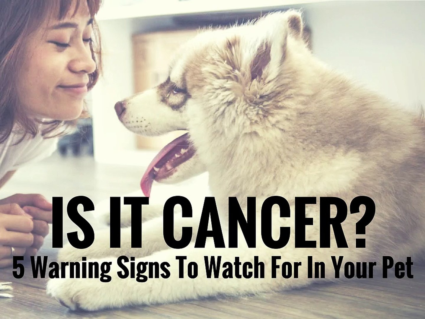 ⁣Is It Cancer? 5 Warning Signs To Watch For In Your Pet