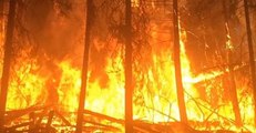 British Columbia Wildfire Burns Over 6,000 Acres