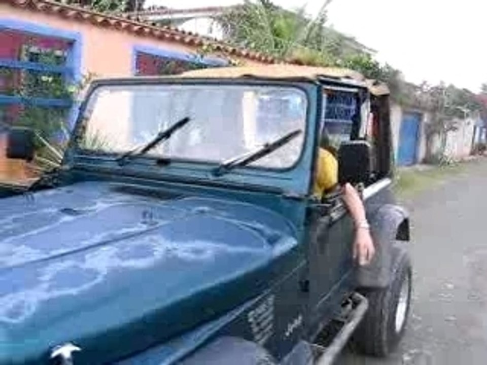 V8