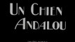 Um Cão Andaluz (Un Chien Andalou- 1929), direção de Luis Buñuel, legendado em português