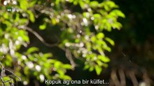 emek