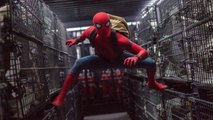 Watch Spider-Man, Homecoming | Spiderman Movie HD
