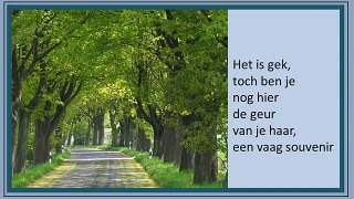 Gerard Cox - Je moet je verdriet verbijten - YouTube