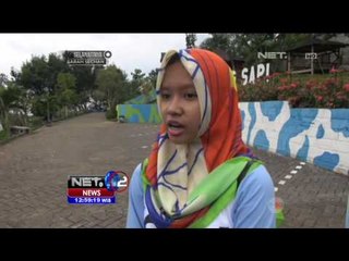 Wisata Peternakan Sapi di Malang  - NET 12