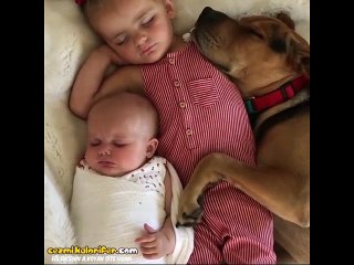 Huzurun, Mutluluğun ve Sevginin Uyku Versiyonu