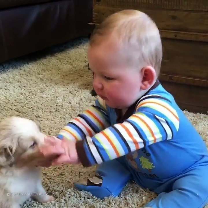 Funny baby with dog