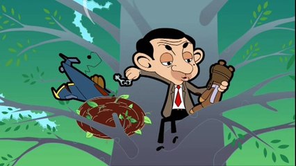 Mr Bean - E5 Magpie