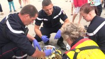 Morbihan   | Gendarmes et Pompiers de l'été 2017  | Vannes Télé
