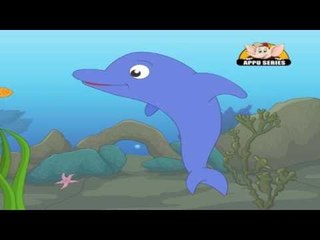 Animal Sounds in Marathi - Dolphin