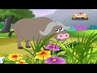 Animal Sounds in Marathi - Buffalo