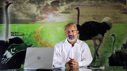 Ostrich Farming Basic Information (ep1) by Raja Tahir Latif