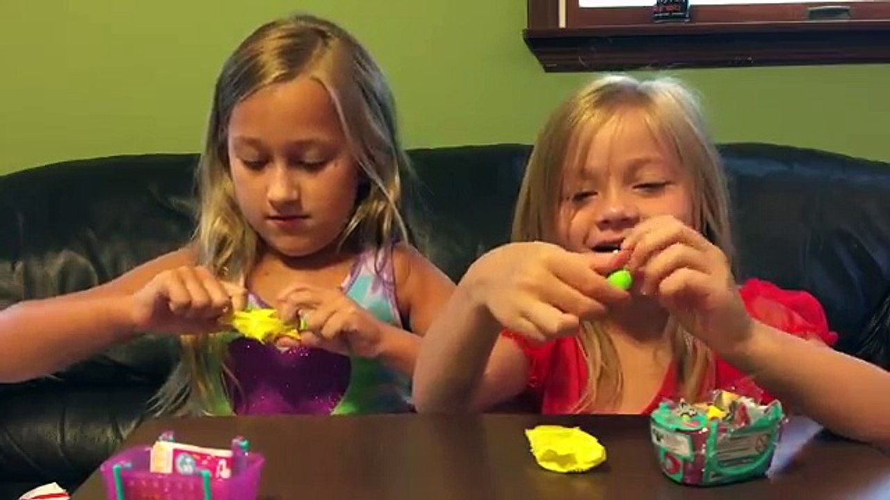 Shopkins LPS Mystery Surprise Handmade Blind Bags Toys Cookieswirlc Fan Mail Littlest Pet