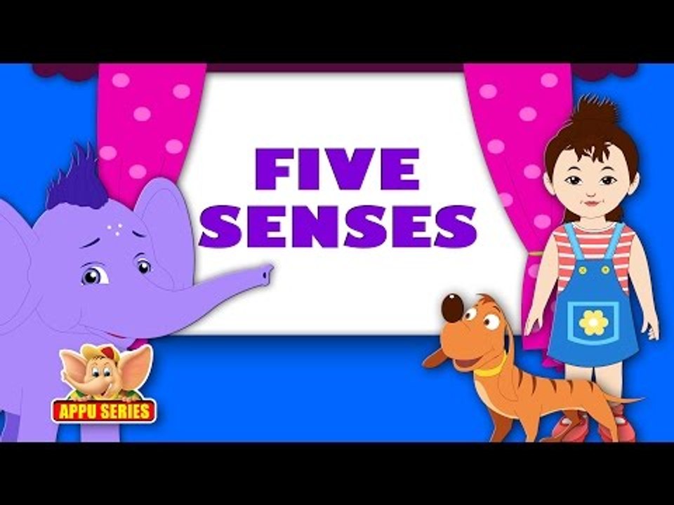 Song on Senses - Five Senses in Ultra HD (4K)
