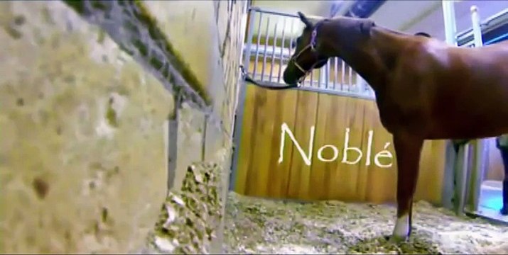 Ahıra Gizli Kamera Koyan Adam Gördükleri Karşısında Şok Oldu