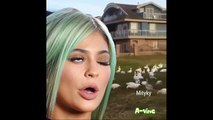 New Kylie Jenner Is That A Chicken Vines Compilation - funny is that a chicken vines