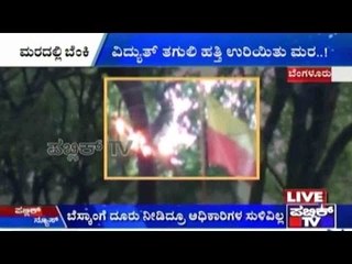 Bengaluru: ವಿದ್ಯುತ್ ತಗುಲಿ ಹತ್ತಿ ಉರಿಯಿತು ಮರ