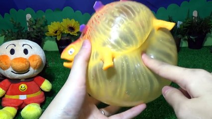 アンパンマン！恐竜の風船がたまごから産まれたよ★Learn Colors with Balloons Dino Dinosaur for Childrens.surprise eggs.キッズ向け
