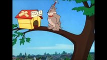 Tom and Jerry - The Dog House