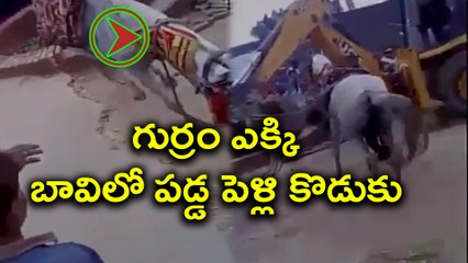 Horse carrying groom falls into well later rescued : Video | Oneindia Telugu