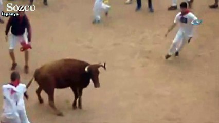 Boğayı bırakıp adama saldırdılar