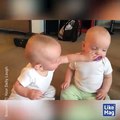 Bebeklerin emzik kavgası müthiş bebek kavgası
