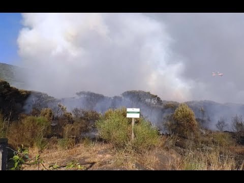 Incendi nel Vesuviano, proseguono le operazioni di spegnimento (12.07.17)