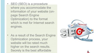 Affordable SEO Packages - Rank Up Your Website with Seorely