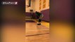 Anthony Davis & DeMarcus Cousins Playing Basketball     2017 NBA Offseason