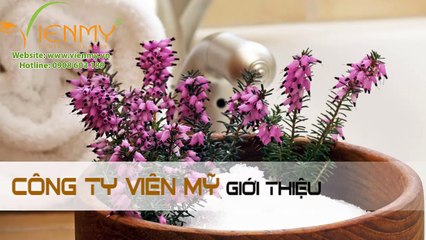 Muối epsom mua ở đâu - Công ty Viên Mỹ